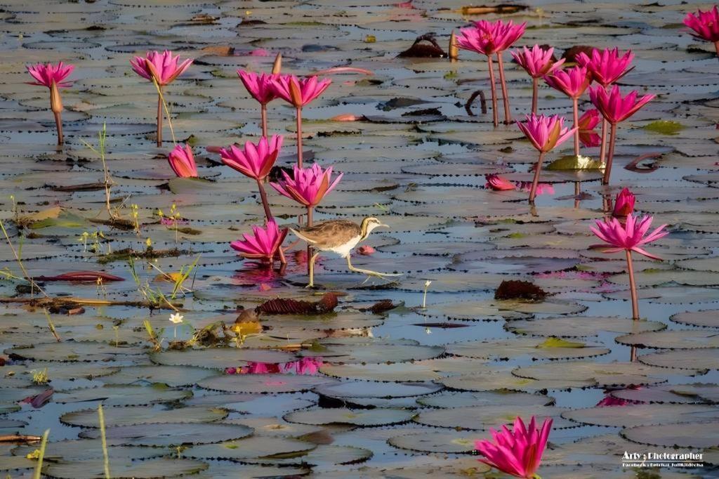 The Infinite Resort Nakhon Sawan Bagian luar foto