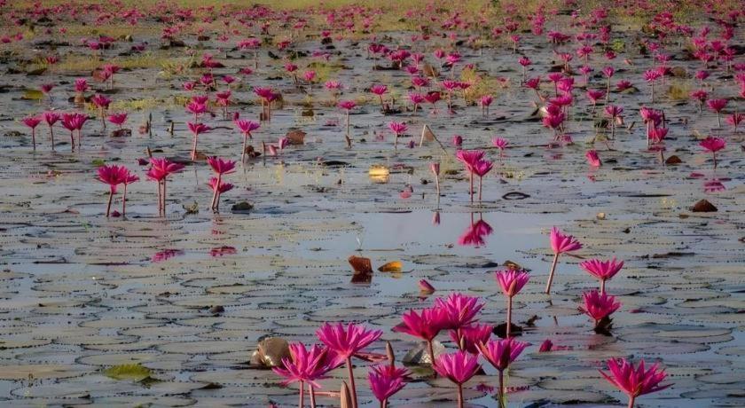 The Infinite Resort Nakhon Sawan Bagian luar foto